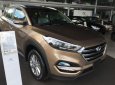Hyundai Tucson 2.0 2017 - Bán Hyundai Tucson 2.0 máy xăng, bản tiêu chuẩn đời 2017, màu nâu tại Đắk Lắk