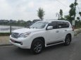 Lexus GX 460 2011 - Cần bán lại xe Lexus GX 460 đời 2011, màu trắng, xe nhập