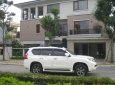 Lexus GX 460 2011 - Cần bán lại xe Lexus GX 460 đời 2011, màu trắng, xe nhập