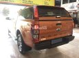 Ford Ranger  XL Base 4X4 MT 2017 - Bán Ford Ranger 2017 ưu đãi khủng lên đến 80 triệu giao xe ngay, vay trả góp 90%, lãi suất cố định 0,6%/tháng