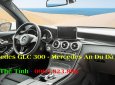 Mercedes-Benz GLC-Class  300 2017 - Cần bán Mercedes GLC 300 đời 2017, màu trắng, nhập khẩu nguyên chiếc