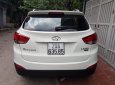 Hyundai Tucson LX20 2010 - Cần bán xe Hyundai Tucson LX20 năm 2010, màu trắng, nhập khẩu nguyên chiếc