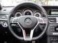 Mercedes-Benz E250 2015 - Cần bán gấp Mercedes đời 2015, màu đen, số tự động