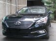 Hyundai Sonata 2008 - Bán xe Hyundai Sonata đời 2008, màu đen, giá tốt