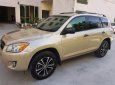 Toyota RAV4 2008 - Chính chủ bán Toyota RAV4 năm 2008, màu vàng, nhập khẩu