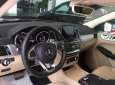 Mercedes-Benz GLE 450 AMG  2017 - Bán ô tô Mercedes GLE 450 AMG sản xuất 2017, màu đỏ, nhập khẩu, mới 100%