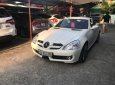 Mercedes-Benz SLK class SLK 350 2008 - Chính chủ bán Mercedes SLK 350 đời 2008, màu trắng, xe nhập