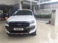 Ford Ranger Wildtrak 3.2 AT 2017 - Bán Ford Ranger Wildtrak 3.2 sản xuất 2017, nhập khẩu, giá tốt. Hotline 0947414444