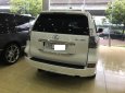 Lexus GX460 2013 - Bán ô tô Lexus GX460 2013, màu trắng xuất Mỹ, đk 2014