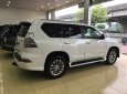 Lexus GX460 2013 - Bán ô tô Lexus GX460 2013, màu trắng xuất Mỹ, đk 2014