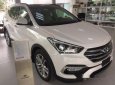 Hyundai Santa Fe  CKD 2017 - Bán Hyundai Santa Fe CKD đời 2017, màu trắng