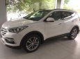 Hyundai Santa Fe 2018 - 0963304094 Hyundai Tây Hồ: Bán Hyundai Santa Fe xe mới 2018 đủ các bản xăng - dầu, đủ màu chọn, hỗ trợ ngân hàng