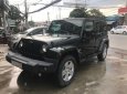 Jeep Wrangler 2009 - Cần bán gấp Jeep Wrangler sản xuất 2009, nhập khẩu nguyên chiếc