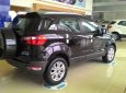 Ford EcoSport 2017 - Cần bán Ford EcoSport đời 2017, màu đen