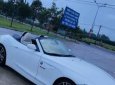 BMW Z4 2010 - Xe BMW Z4 V6 3.0L Sdrive 35i năm 2010, màu trắng