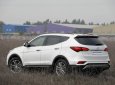 Hyundai Santa Fe  2.4L 2017 - Bán Hyundai Santa Fe - giảm cực sốc lên đến 260 triệu