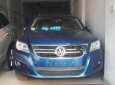 Volkswagen Tiguan 2.0 AT 2008 - Cần bán Volkswagen Tiguan 2.0 AT đời 2008, màu xanh lam, nhập khẩu