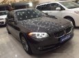 BMW 5 Series 520i 2013 - Bán BMW 5 Series 520i đời 2013, màu nâu số tự động