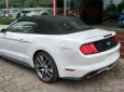 Ford Mustang 2.3 EcoBoost 2015 - Ford Mustang 2.3 EcoBoost 2015