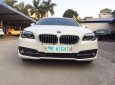 BMW 5 Series 520i 2014 - Bán ô tô BMW 5 Series 520i đời 2014, màu trắng, nhập khẩu nguyên chiếc đẹp như mới