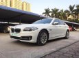 BMW 5 Series 520i 2014 - Bán ô tô BMW 5 Series 520i đời 2014, màu trắng, nhập khẩu nguyên chiếc đẹp như mới