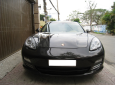 Porsche Perdana 2010 - Bán xe Porsche Perdana đời 2010, màu xám, nhập khẩu