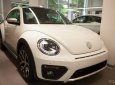 Volkswagen New Beetle 2017 - Bán ô tô Volkswagen New Beetle 2017, màu trắng