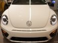 Volkswagen New Beetle 2017 - Bán ô tô Volkswagen New Beetle 2017, màu trắng