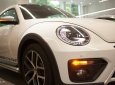 Volkswagen New Beetle 2017 - Bán ô tô Volkswagen New Beetle 2017, màu trắng