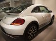 Volkswagen New Beetle 2017 - Bán ô tô Volkswagen New Beetle 2017, màu trắng