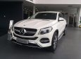 Mercedes-Benz GLE-Class   GLE400 2016 - Cần bán Mercedes GLE400 đời 2016, màu trắng, nhập khẩu