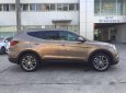 Hyundai Santa Fe 2017 - Bán Hyundai Santa Fe đời 2017, màu nâu