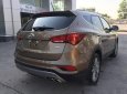 Hyundai Santa Fe 2017 - Bán Hyundai Santa Fe đời 2017, màu nâu