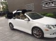 Volkswagen Eos 2008 - Bán Volkswagen Eos sản xuất 2008, màu trắng, xe nhập xe gia đình