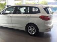 BMW 2 Series 218i GT 2017 - Bán BMW 2 Series 218i GT đời 2017, màu trắng, nhập khẩu