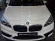 BMW 2 Series 218i GT 2017 - Bán BMW 2 Series 218i GT đời 2017, màu trắng, nhập khẩu