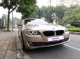 BMW 5 Series 523i 2010 - Bán BMW 5 Series 523i đời 2010, xe nhập chính chủ, 955tr