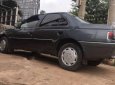 Peugeot 405 1994 - Bán xe Peugeot 405 đời 1994, màu xám, nhập khẩu, giá 65tr