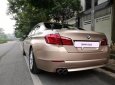 BMW 5 Series 523i 2010 - Bán BMW 5 Series 523i đời 2010, xe nhập chính chủ, 955tr