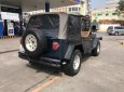 Jeep Wrangler 1995 - Cần bán lại xe Jeep Wrangler sản xuất 1995, màu xanh lam, xe nhập