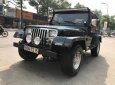 Jeep Wrangler 1995 - Cần bán lại xe Jeep Wrangler sản xuất 1995, màu xanh lam, xe nhập