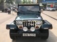 Jeep Wrangler 1995 - Cần bán lại xe Jeep Wrangler sản xuất 1995, màu xanh lam, xe nhập