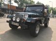 Jeep Wrangler 1995 - Cần bán lại xe Jeep Wrangler sản xuất 1995, màu xanh lam, xe nhập