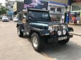 Jeep Wrangler 1995 - Cần bán lại xe Jeep Wrangler sản xuất 1995, màu xanh lam, xe nhập