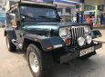 Jeep Wrangler 1995 - Cần bán lại xe Jeep Wrangler sản xuất 1995, màu xanh lam, xe nhập