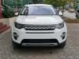 LandRover Discovery Sport HSE 2017 - Bán xe LandRover Discovery Sport HSE 2017, nhập Mỹ