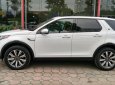 LandRover Discovery Sport HSE 2017 - Bán xe LandRover Discovery Sport HSE 2017, nhập Mỹ