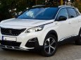 Peugeot GT-Line 2017 - Bán Peugeot 3008 năm 2018, hỗ trợ trả góp 80%