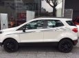 Ford EcoSport 2017 - Bán xe Ford EcoSport đời 2017, màu trắng, nhập khẩu chính hãng