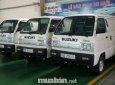 Suzuki Blind Van 2017 - Bán Suzuki Blind Van đời 2017, màu trắng, nhập khẩu nguyên chiếc, 293 triệu